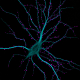 Illustration for article titled Marvel at 2013s best microscopic photography